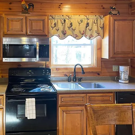 Black Bear Hideaway Cabin Gatlinburg Exterior photo
