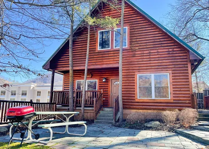 Black Bear Hideaway Cabin
